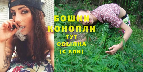 твердый Магас
