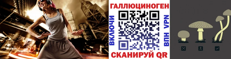 Купить  Ставрополь  Псилоцибиновые грибы GOLDEN TEACHER 
