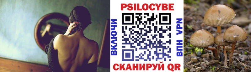 Псилоцибиновые грибы прущие грибы Ставрополь
